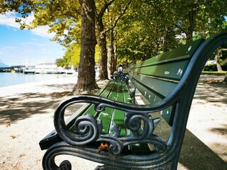 Park bench in the park, Bench in the Park