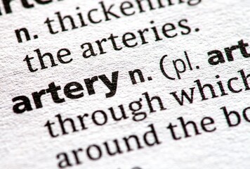 Close up photo of the word artery in a dictionary book