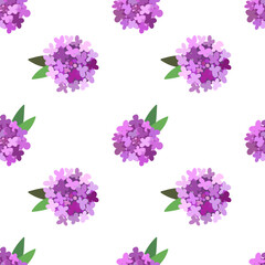 Fototapeta na wymiar Bright purple iberis flowers. Floral seamless pattern on the white background.