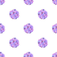 Large hydrangea inflorescences. Floral seamless pattern on the white background.