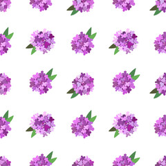 Iberis. Floral seamless pattern with purple petals. Polka dot on the white background.