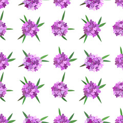 Purple iberis. Floral seamless pattern. 