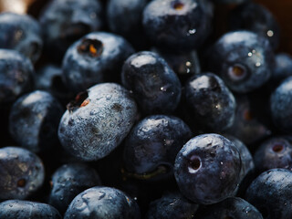 Lots of ripe blueberry berries. Rich harvest, forestry and farming, ecology, environmental protection. Vitamins, healthy nutrition, healthy lifestyle. Background, wallpaper, texture.