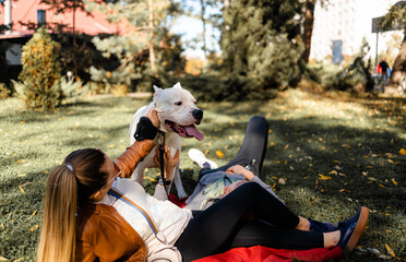 happy young couple palming white dog in autumn park.