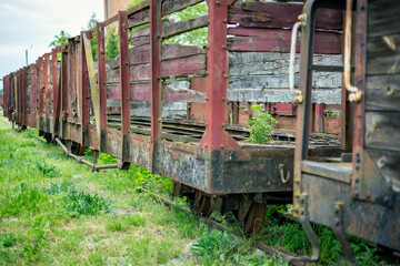 stary wagon kolejowy, zarośnięty zielenią złom - obrazy, fototapety, plakaty