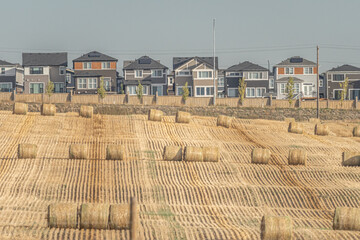 Houses behind a field with bales of Hay