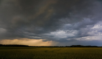 The beginning of a summer storm. A rush of clouds, a stream of rain, a thunderstorm, a storm. In...