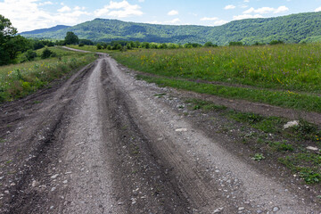 Fototapeta na wymiar dirt roads on subalpine meadows in a mountainous area on a summer day .*