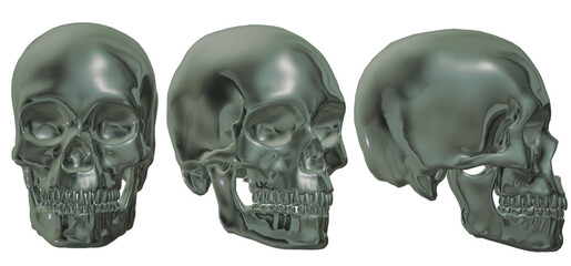 human skull, skeleton, head,  halloween