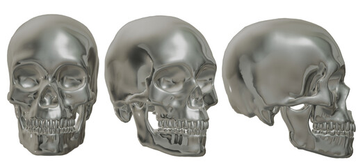  human skull, skeleton, head,  halloween