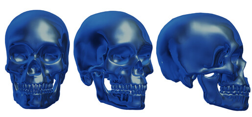  human skull, skeleton, head,  halloween