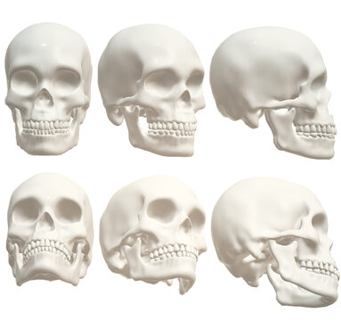  human skull, skeleton, head,  halloween