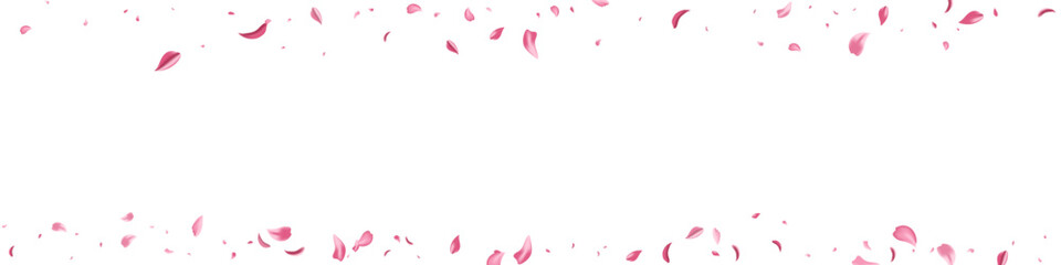 Red Flower Flying Vector White Panoramic