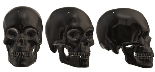  human skull, skeleton, head,  halloween