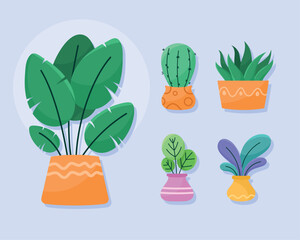 five houseplants in pots