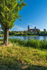 Obraz premium View of the city of Salamanca in Spain, with the Tormes river and the cathedral