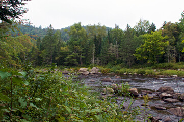 Obraz premium Beautiful scenic view of the river running through the Quarry Hiking trail in wilmington new york, showing lush deep wild forest.