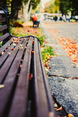An old bench in an autumn park covered with fallen leaves