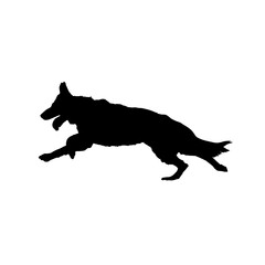 German shepherd running, dog silhouette vector illustration. Dynamic pose of a working dog. 