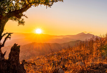 picturesque view from under the branch of a tree on a mountain slope to a mountains and sunset or sunrise valley with anazing clouds and glow