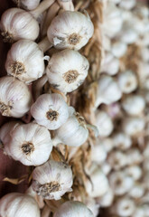 Garlic wreaths. Rich harvest.