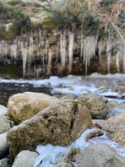 Naturaleza de Invierno