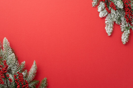 Christmas Eve concept. Top view photo of pine branches in hoarfrost and mistletoe berries on isolated red background with empty space