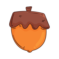 acorn seed autumn season