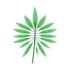 branch with tropical leafs