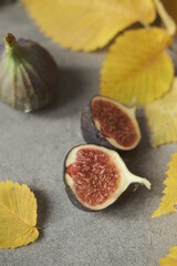 Two figs on the gray background. Autumn leaves. Gold October