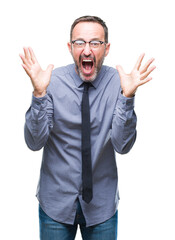 Fototapeta premium Middle age hoary senior business man wearing glasses over isolated background celebrating crazy and amazed for success with arms raised and open eyes screaming excited. Winner concept