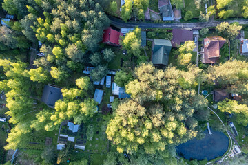 Aerial view of village in a forest with small houses