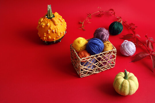 Autumn is the time for knitting: balls of colorful yarn among autumn foliage, a cup of tea, a ripe yellow pumpkin on a red background, side view