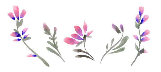 Fototapeta na wymiar Set from watercolor decorative botanical illustration, and its fragments. Elements for decorative design. Delphinium.