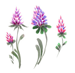 Watercolor purple flowers clipart . Floral clip art