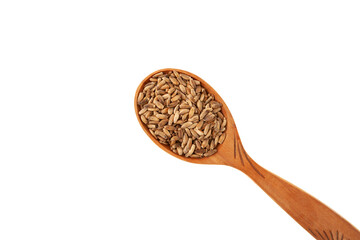Milk Thistle powder or Silybum marianum extract in wooden spoon, close-up. Scotch thistle, Natural antioxidant. Herbal superfood for aiding liver function