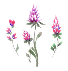 Almond blossom. Set of watercolor pink flowers