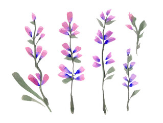 Blue Delphinium Flowers Garland. Watercolor hand painting,