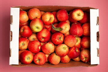 Red apples in paper box on pink background, top view. Crop Season fruits. Ripe apples, close-up