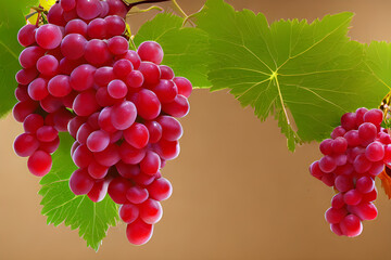 Fototapeta premium red grapes