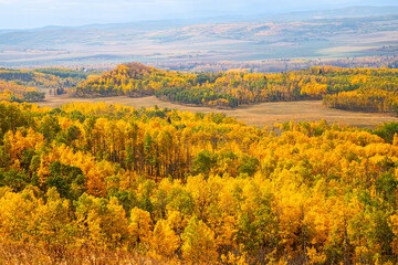 Beautiful Alberta Prairie Landscape in Autumn Colors near Calgary and Banff in the Canadina Rockies