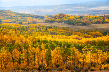 Beautiful Alberta Prairie Landscape in Autumn Colors near Calgary and Banff in the Canadina Rockies