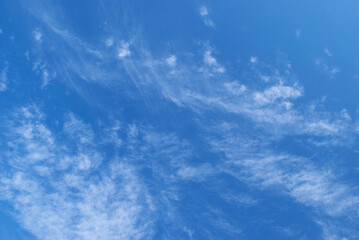 Fototapeta premium gentle white clouds in a bright blue sky