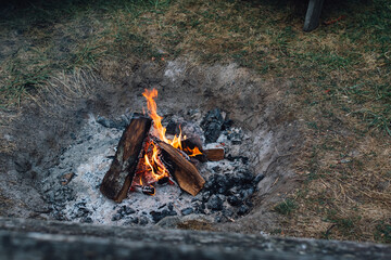 campfire in fire pit outdoors with grass