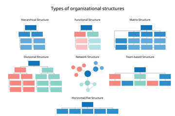 7 types of organizational structures to organize the company organization chart - obrazy, fototapety, plakaty