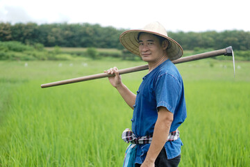 Asian man farmer is at paddy field, wears hat, blue shirt and holds a hoe on his shoulder. Concept organic farming. No chemical. Using traditional manual tool in stead of use herbicide. Zero pollution