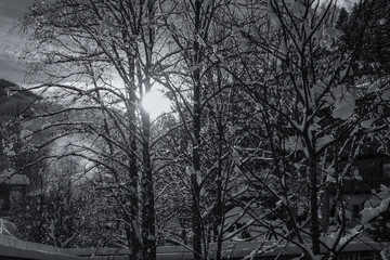 Winterlandschaft in den Alpen, Österreich, Seefeld. Schneebedeckte Täler und Berge im Winter - traumhafte Orte zum Entspannen.