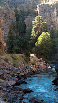 Scenic drive along the Cache La Poudre Wild and Scenic River at dawn in Colorado