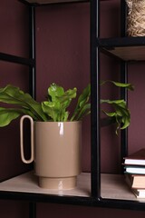 Stylish ceramic vase with green leaves and books on shelf near brown wall