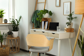 Home office interior with different beautiful houseplants